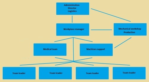 Organizacijska shema